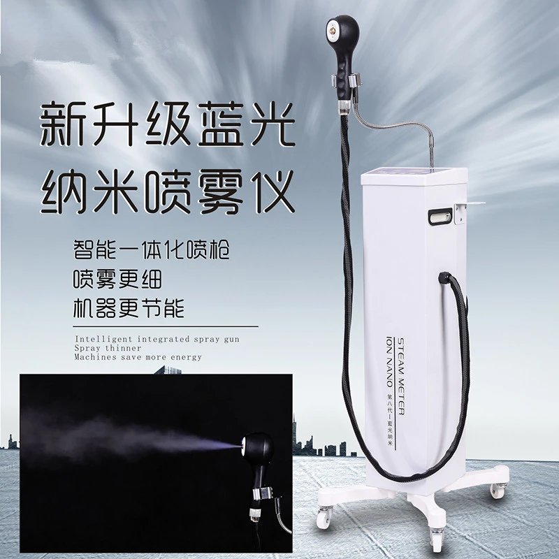 블루 라이트 나노 헤어 스티머, 헤어 케어 기기, 휴대 - Hair Care Organic 리뷰 및 가격